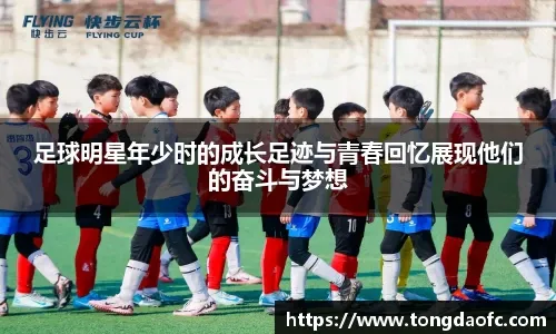 摊牌无法
