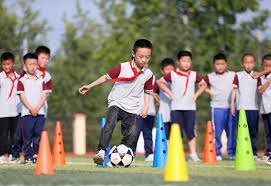 日本职棒赛季稳定性的秘密
